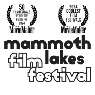 Phoenix Film Festival